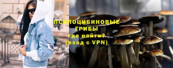 прущая мука Алзамай