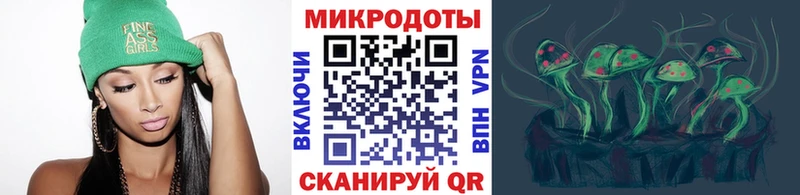 Галлюциногенные грибы Psilocybe  Купить закладки  Межгорье 